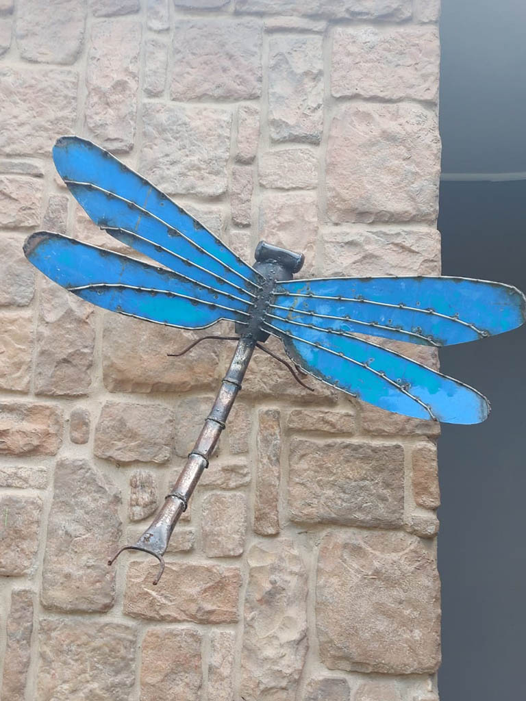 Dragonflies